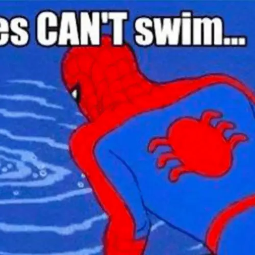 53 Spiderman Memes That Will Leave You Sticky And White