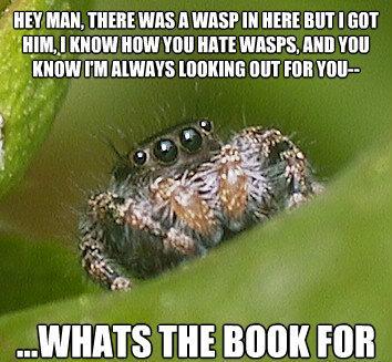 Spider Meme on Spider Meme Book The Sad World Of The Misunderstood House Spider