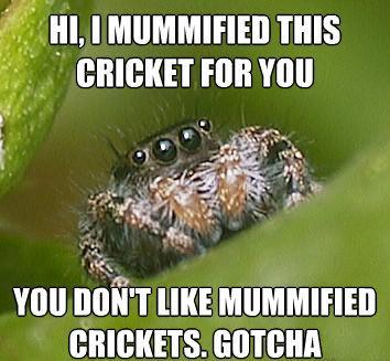 Spider Meme on And On An Unrelated Note   Proxy Whore Refuge