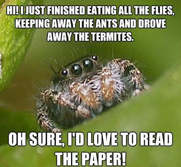 misunderstood-spider-meme-read-paper.jpg