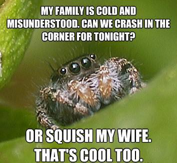 Spider Meme on Funny House Spider Humor Insects Internet Meme Misunderstood Spider