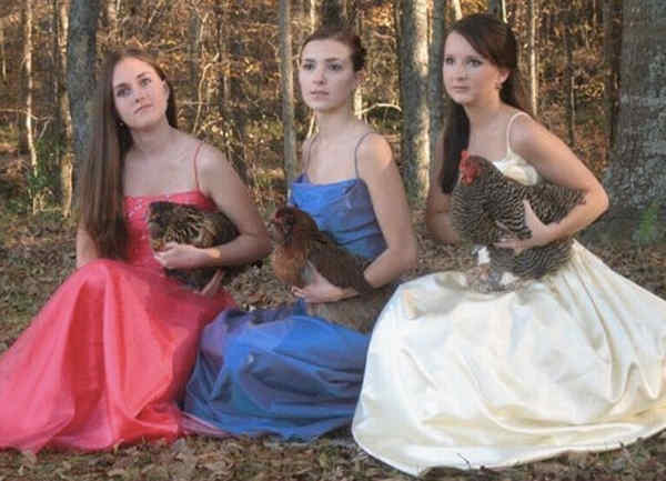 Prom Fail Photos With Chickens