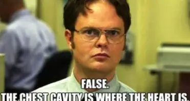 Dwight Schrute Knows Best