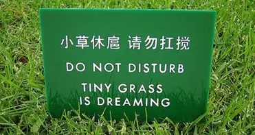 31 Hilarious Signs That Were Definitely Lost In Translation