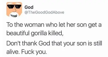 29 Harambe Memes That Touched The Depths Of Our Soul