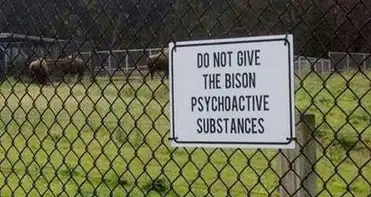 35 Absurd Signs That Definitely Have A Story Behind Them