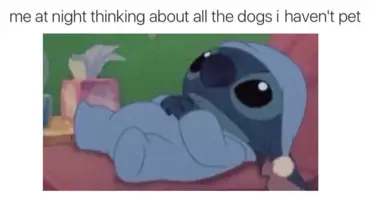 39 Instagram Memes That Will Tickle Your Funny Bone And Also Your Regular Bones