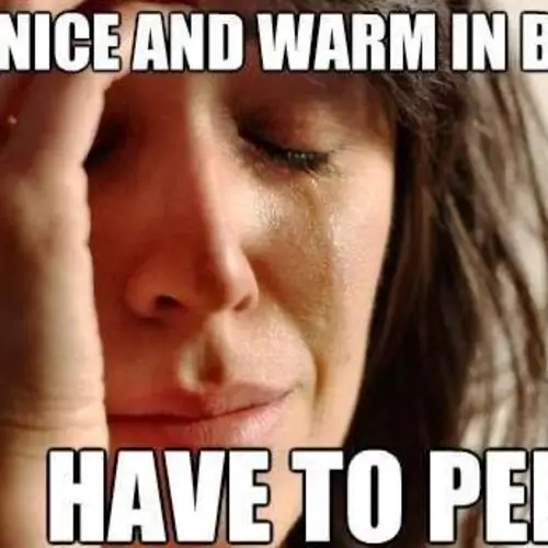 29 Of The Funniest First World Problem Memes