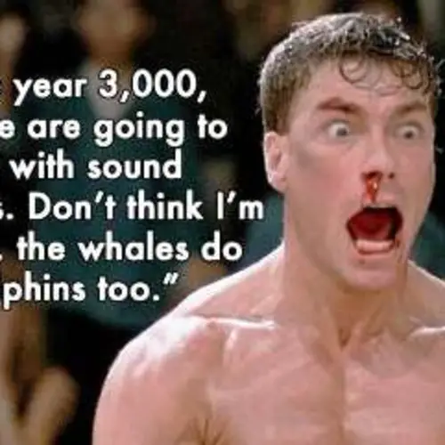 Awesomely Weird Jean-Claude Van Damme Quotes