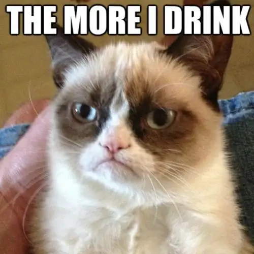 The Best Of The Grumpy Cat Meme