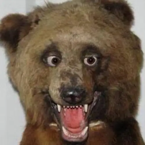 30 Bad Taxidermy Pictures That Are Equal Parts Terrifying And Hilarious