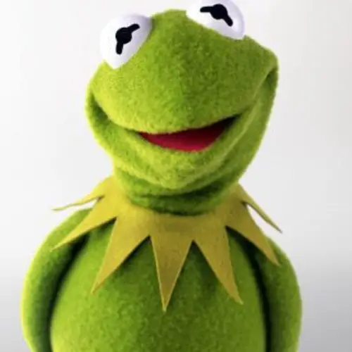 The Top 5 Most Fuckable Muppets