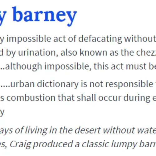 37 Disgusting Urban Dictionary Definitions You Definitely Shouldn't Try At Home