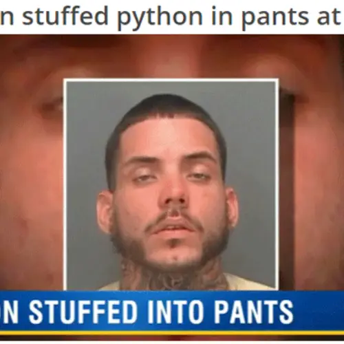35 People Who Got Arrested For The Most Ridiculous Reasons Ever