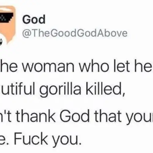 29 Harambe Memes That Touched The Depths Of Our Soul