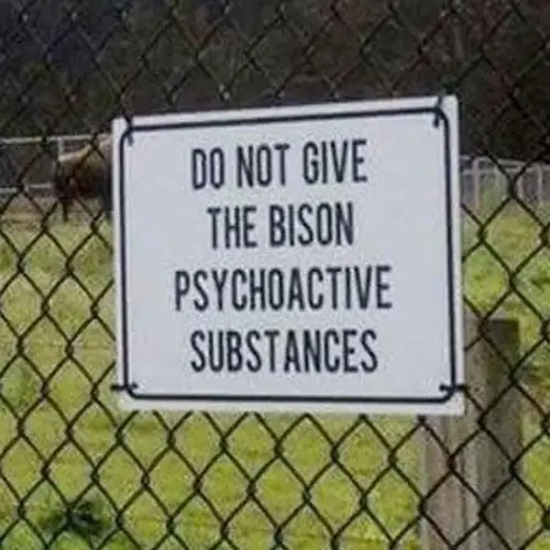 35 Absurd Signs That Definitely Have A Story Behind Them