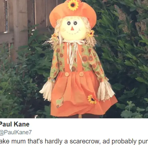 44 Scottish Tweets That Are Hilarious If You Can Decipher Them