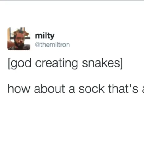 29 Tweets That Show Even God Has A Sense Of Humor When It Comes To Making Animals