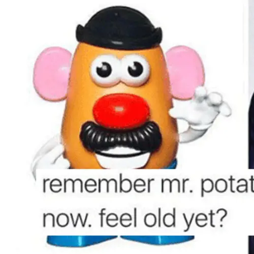 40 'Remember This' Memes That Will Make You Feel As Old As Dirt