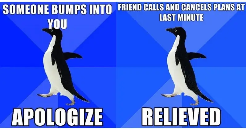 Something To Relate To: Socially Awkward Penguin