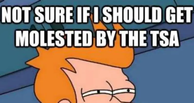 The Funniest Futurama Fry Memes