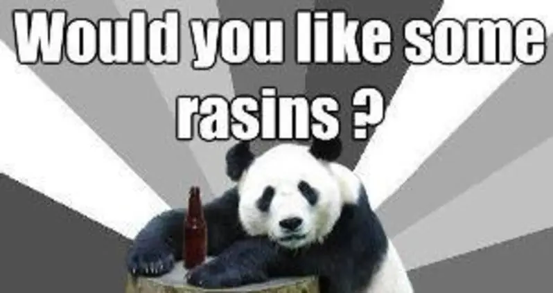 Hilarious Pickup Line Panda Memes