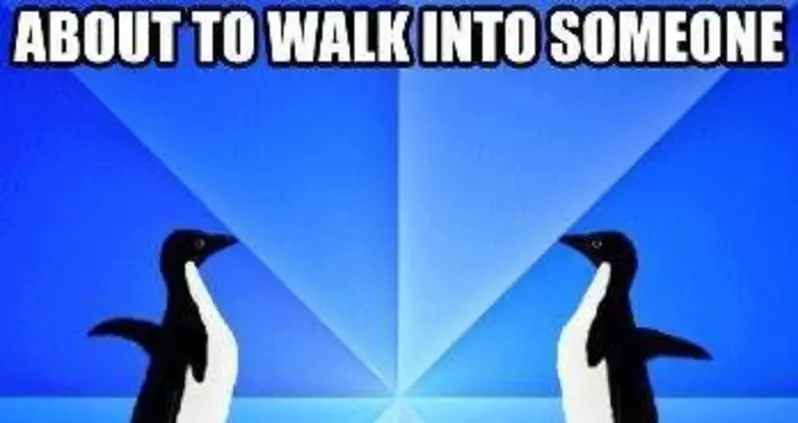 Socially Awkward Penguin Goes For A Walk