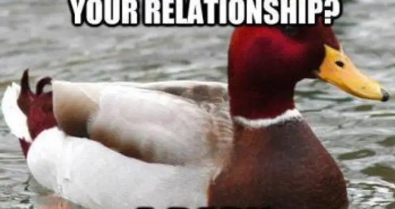 The Best Of The Malicious Advice Mallard Meme