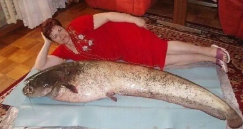 30 Completely Absurd Russian Dating Site Photos