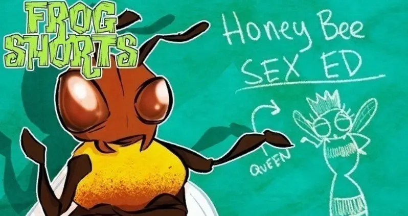 Frog Shorts: Bee Sex