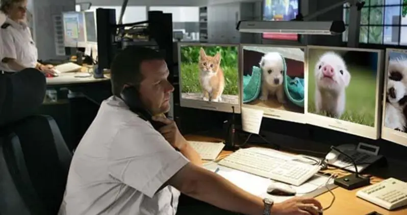 U.S. Government Working Overtime To Ensure False Sense Of Safety With Baby Animal Videos