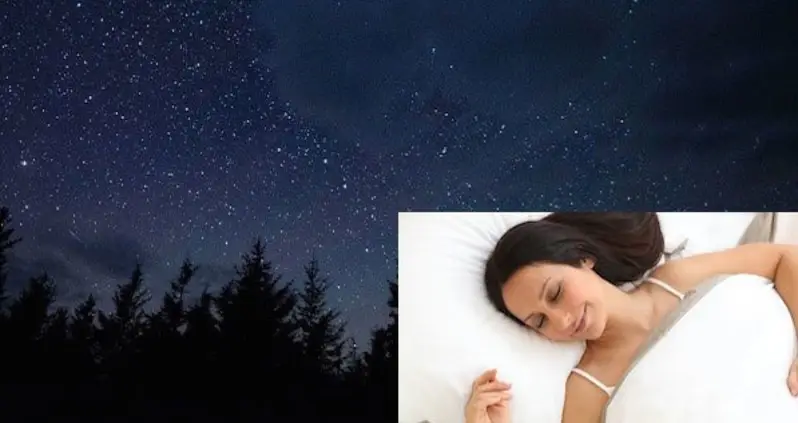 Leonid Meteor Shower Offers Millions Opportunity To Sleep Through Another Meteor Shower