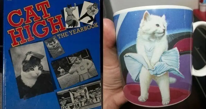 30 Absolutely Insane Thrift Shop Finds