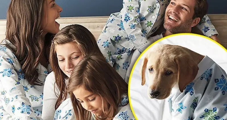 Family Dog Didn’t Sign Up For This Matching Pajamas Bullshit