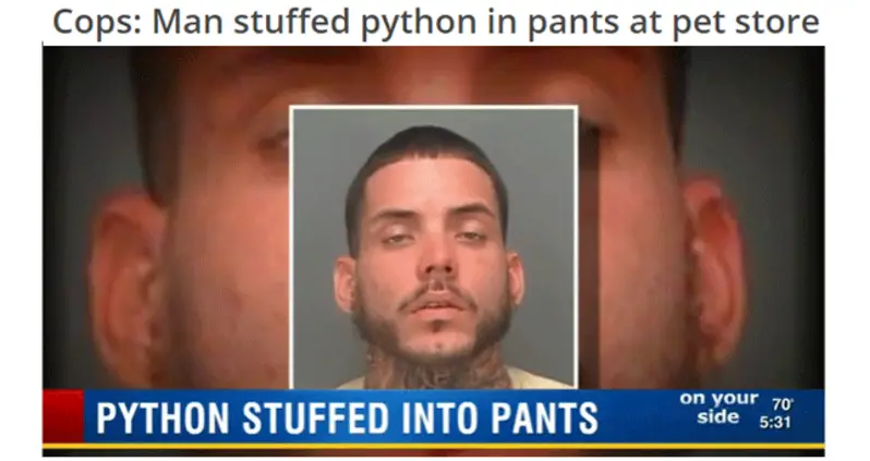 35 People Who Got Arrested For The Most Ridiculous Reasons Ever