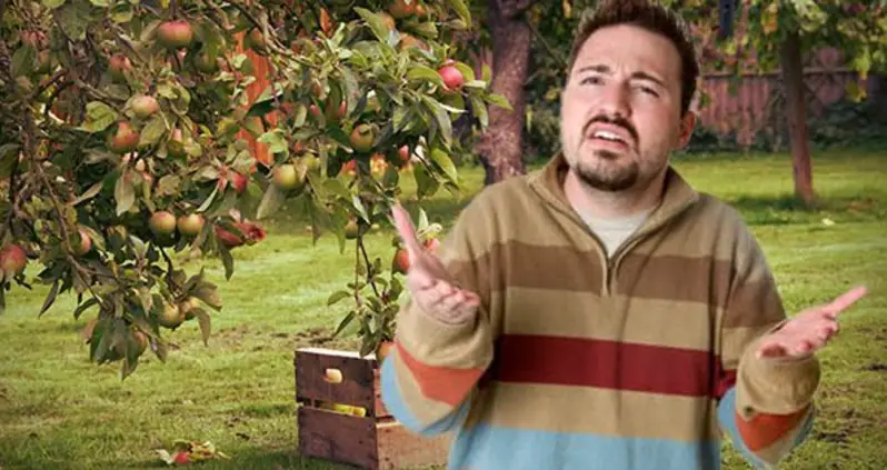 Where The Fuck Am I Going To Put All These Apples?