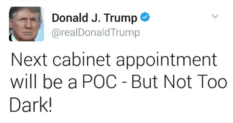 Trump Announces Next Cabinet Appointment Will Be POC, But Nothing “Too Dark”