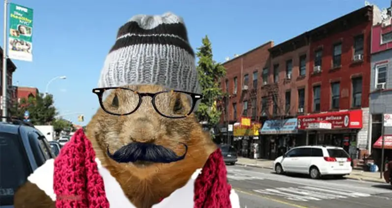Hipster Groundhog Was Seeing His Shadow Before it Was Cool
