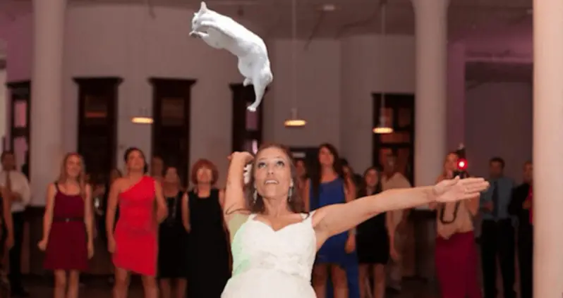 27 Pictures Of Brides Throwing Cats That Are Infinitely Better Than Bouquets