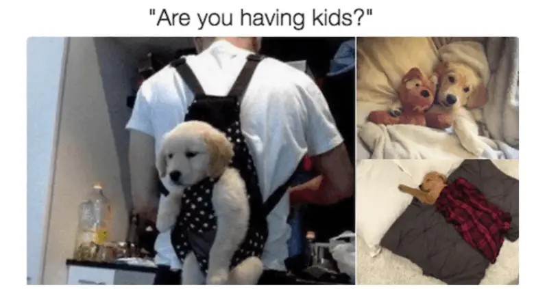 37 Child Free Memes For People Who Hate Kids And Value Sanity