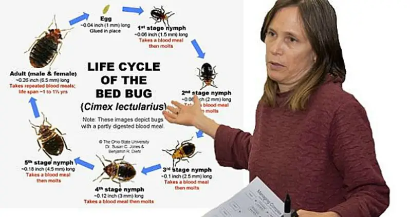 New York To Recognize Extensive Knowledge Of Bedbugs As Legitimate Proof Of Address