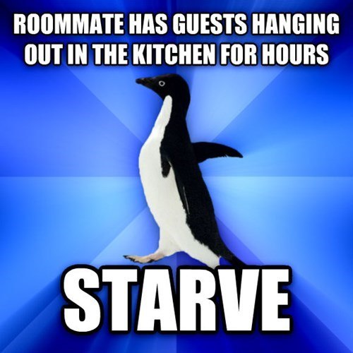 Socially Awkward Penguin