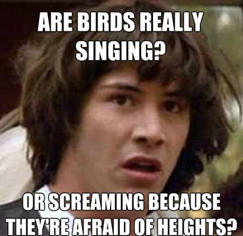 Conspiracy Keanu Meme