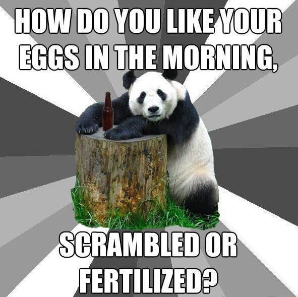 Pickup-Line Panda Memes