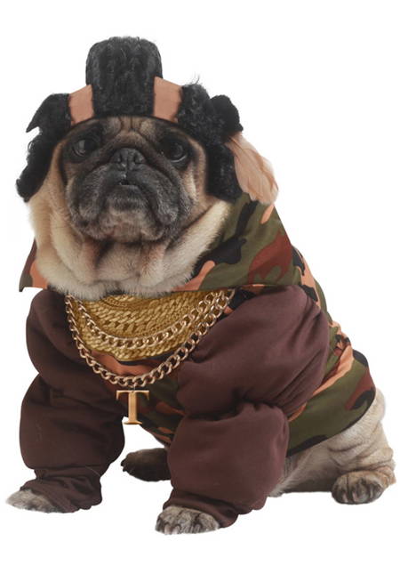 Halloween Pugs Ice T Costume