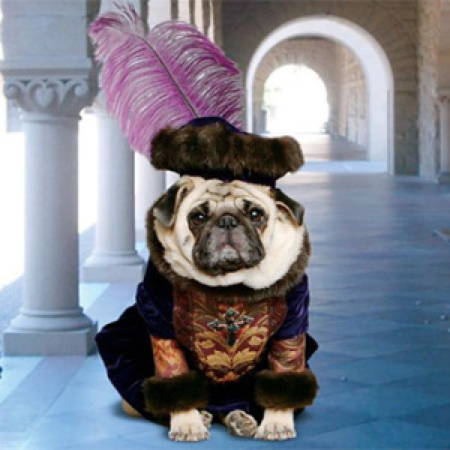 Halloween Pugs Shakespeare