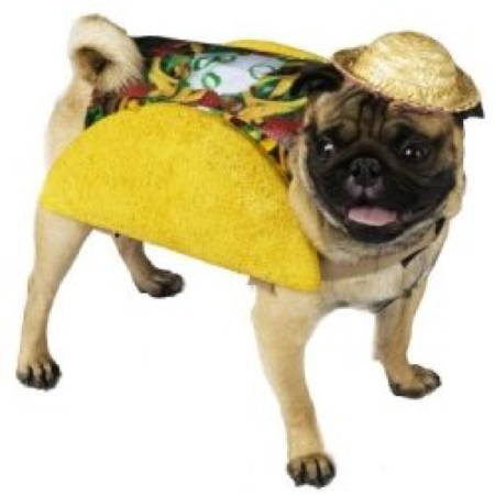 Halloween Pugs Taco