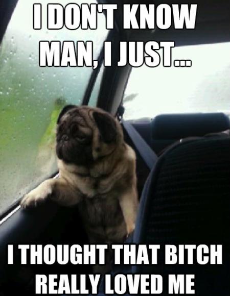 Pug Meme Loved Me