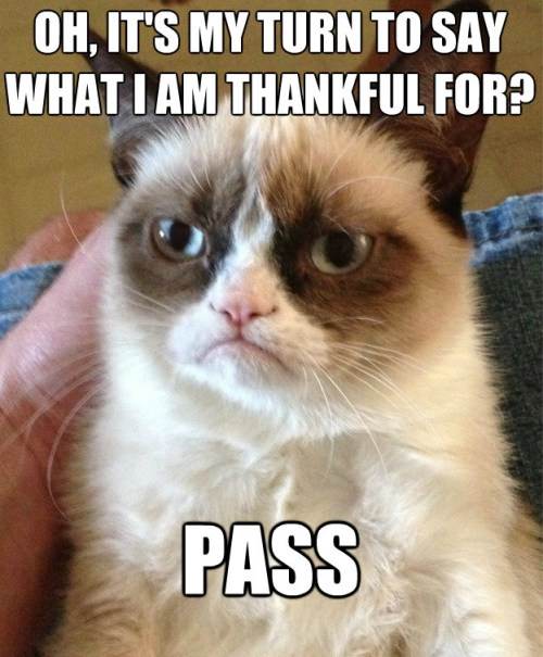 Grumpy Cat Thankful