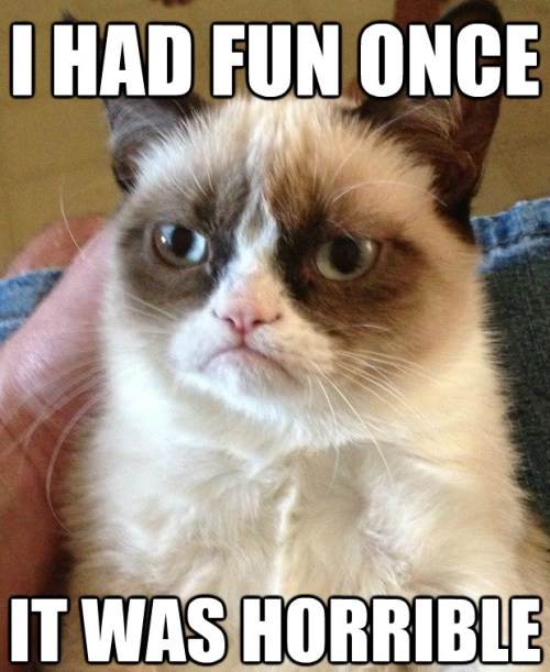 Grumpy Cat Had Fun Once